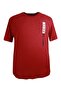 Men's Large Size Printed Single Jersey Crew Neck T-Shirt