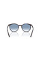 Rb 2204 14303F 54 Sunglasses - 3