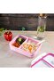 RF4398 Air Tight Lunch Box - 4