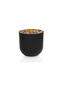 Green corn tree in a cylindrical plastic container - 3