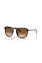RAY BAN Unisex SQUARE Sun- RB 2203 - lense size:55mm - HAVANA