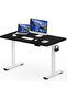 FlexiSpot Electric Standing Desk 121x60 cm with Height-Adjustable Spacious Desk - Charcoal Black