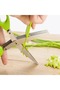 Multi Chopping Scissors