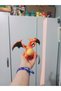 Pokemon-charizard