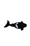 Balina Orta Boy 50 cm - 4