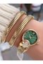 Steel Cord Stone Detail Snake Model Women's Wristwatch with 2 Years Warranty 3 Atm Waterproof - 5