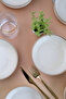 Moderna Pit Plate Cinnamon 20cm Set of 4 - 3