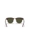 RB3016 W0366 51 نظارات شمسية للرجال - 3