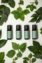 Rosemary Essential Oil |   10 ml - 100% Pure and Natural - 8