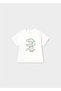 Set of 3 Male Child Logo-Hueso 1843 - 2