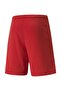 Teamrise Short Men's Shorts 70494201 Red - 2