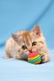 Pack of 4 Soft and Lightweight Play Balls for Cats – Rainbow Colored! - 4