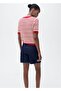 Striped Short-Sleeved Crochet Sweater - 4