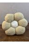 Daisy Pillow Plush Cream Throw Pillow - 2