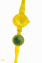 Practical Hard Plastic Lemon Squeezer Lemon and Citrus Juicer Yellow Color - 5