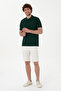 Men's Regular Fit Polo Neck Dark Green Basic T-Shirt 50298031-Vr079 - 4