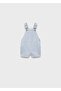 Striped denim overalls
