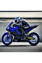 Motorcycle Rear Tongs Sticker Yamaha Written Label