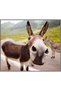 Proiector tip lanterna - Distractie cu animalute - 7
