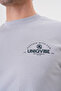 Full Cotton Gray Regular T-Shirt - 3
