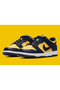 Dunk Low  (GS) Sneaker - 2