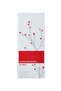In Red Edt 100Ml - عطر ريد 100ملليلتر - 3