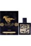 Qaid Al Fursan for Men Eau de Perfume 90ml, 6291107455365