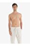 Men's Viscous Linen Claret Red Striped Cream Single Bottom C2T2N7O04 - 5