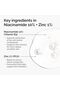 Niacinamide 10% Zinc 1% 30 ml - 3