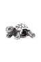 Afrika Kaplumbağası Charm