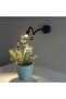 مصباح قراءة بومة LED 3 واط - ضوء النهار (3000 كلفن) - أسود - CT-5232G - 4