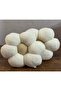 Daisy Plush Throw Pillow 2 Pack Pillow