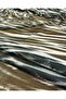 Mesh in Black and White Colors (Width 140 cm x Length 230 cm) - 4