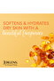 JERGENS SOFTENING MUSK DRY SKIN MOISTURIZER 600 ML - 5