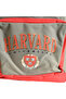 HARVARD 18" BACKPACK - 2
