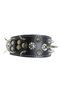 Fancy Dog Guard Collar - 4