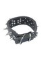 Fancy Dog Guard Collar - 5