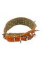Fancy Dog Guard Collar - 6