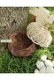Natural Rattan Multi-Purpose Organizer Basket / Children's Room Organizer Basket