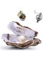 Colorful Oyster Inside Steel Necklace with Pearl - 4