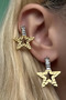 Two Color Star Figured Stone Detailed Steel Earrings (Pair)