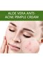 Dr. Rashel Skin Aloe Vera Anti-Acne Pimple Cream – 30ML 🌿✨ - 2