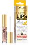Eveline Cosmetics Oh My Lips Maximizer Bee Venom | For Full & Enlarged Looking Lips | 4.5 Ml