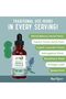 Nootropic Focus Supplement for Adults | USDA Organic Brain Supplement with Ginkgo Biloba & Astragalu - 7