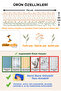 Small Orange Flowers and Leaves Pastel Tone Wall Sticker Set - 2