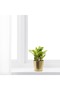 DAIDAI Plant Pot, Brass-Colour, 9 cm, Metal Pot for Small Plants, Modern Home Décor - 6