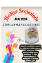 Toyzz Mini Bear Cute Brown Bear Plush Toy & Pillow & Sleeping Companion & Gift 25 cm - 2