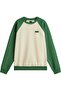 Core Basic Raglan Crew Fale Sweatshirt