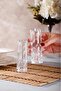 Agave 2 Pieces Glass Salt and Pepper Shakers Set – Salt Shaker and Pepper Shaker - 6