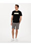 Black Regular Fit Heat Sensitive Color Changing Crew Neck T-Shirt 50302577-Vr046 - 4